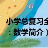 小學總復習全案：數學（關于小學總復習全案：數學簡介）