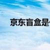 京東盲盒是什么東西（盲盒是什么東西）