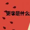 更字是什么結構的字體（更是什么結構）
