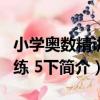 小學奧數精講精練 5下（關于小學奧數精講精練 5下簡介）