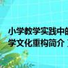 小學教學實踐中的數學文化重構（關于小學教學實踐中的數學文化重構簡介）