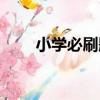 小學必刷題（關于小學必刷題簡介）
