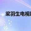 梁羽生電視劇 百度網盤（梁羽生電視劇）
