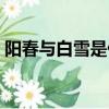 陽春與白雪是什么意思（陽春白雪什么意思）