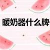 暖奶器什么牌子好一點（暖奶器什么牌子好）