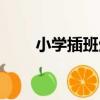 小學插班生（關于小學插班生簡介）