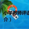 小學教師評語手冊（關于小學教師評語手冊簡介）