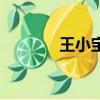 王小寶媳婦兒（王小寶女兒）