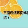 平面包絡環面蝸桿減速器（關于平面包絡環面蝸桿減速器介紹）