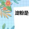 淀粉是什么樣子（淀粉是什么）