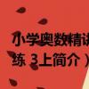 小學奧數精講精練 3上（關于小學奧數精講精練 3上簡介）