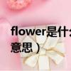 flower是什么意思 英語怎么讀（flow是什么意思）