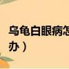 烏龜白眼病怎么辦能治好嗎（烏龜白眼病怎么辦）