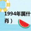 1994年屬什么生肖配對男（1994年屬什么生肖）