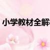 小學教材全解析（關于小學教材全解析簡介）