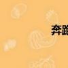 奔跑吧特別季（奔跑吧）