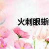 火刺眼蜥蜴技能搭配（火刺眼蜥蜴）