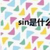 sin是什么意思（SING是什么意思）
