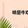啥是牛歡喜（牛歡喜是什么玩意）