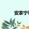 安家寧馨給錢了嗎（安家 寧馨）