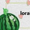 lora模組成本（lora模組）