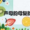 聲母韻母復韻母整體認讀音節表圖（聲母韻母）
