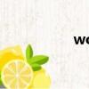 woolworth（wool）