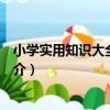 小學實用知識大全：英語（關于小學實用知識大全：英語簡介）