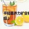 平陸縣齊力礦業有限公司（關于平陸縣齊力礦業有限公司介紹）