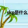 skp是什么品牌西安（skp是什么品牌）