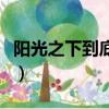 陽光之下到底有多少集（陽光之下一共多少集）