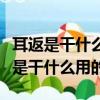 耳返是干什么用的如何聽到自己的聲音（耳返是干什么用的）