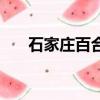 石家莊百合網實體店（百合網實體店）