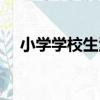 小學學校生活（關于小學學校生活簡介）