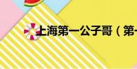 上海第一公子哥(第一公子哥)