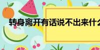 轉身離開有話說不出來什么歌是什么歌名