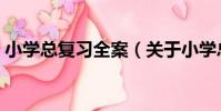 小學總復習全案(關于小學總復習全案簡介)