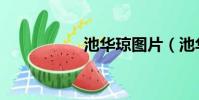 池華瓊圖片(池華瓊)