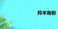 羚羊角粉
