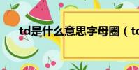 td是什么意思字母圈(td是什么意思)