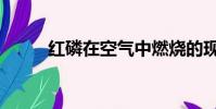 紅磷在空氣中燃燒的現象(紅磷)