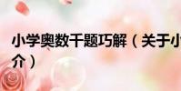 小學奧數千題巧解(關于小學奧數千題巧解簡介)