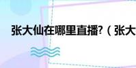 張大仙在哪里直播?(張大仙在哪里直播)