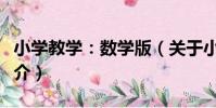小學教學:數學版(關于小學教學:數學版簡介)