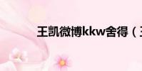王凱微博kkw舍得(王凱微博)