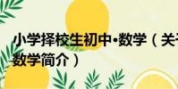 小學擇校生初中·數學(關于小學擇校生初中·數學簡介)