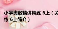 小學奧數精講精練 6上(關于小學奧數精講精練 6上簡介)