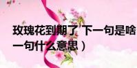 玫瑰花到期了 下一句是啥(玫瑰花到期了下一句什么意思)