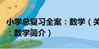 小學總復習全案:數學(關于小學總復習全案:數學簡介)