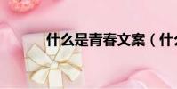 什么是青春文案(什么是青春)